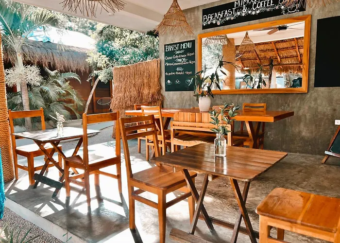 Mimosa Tulum